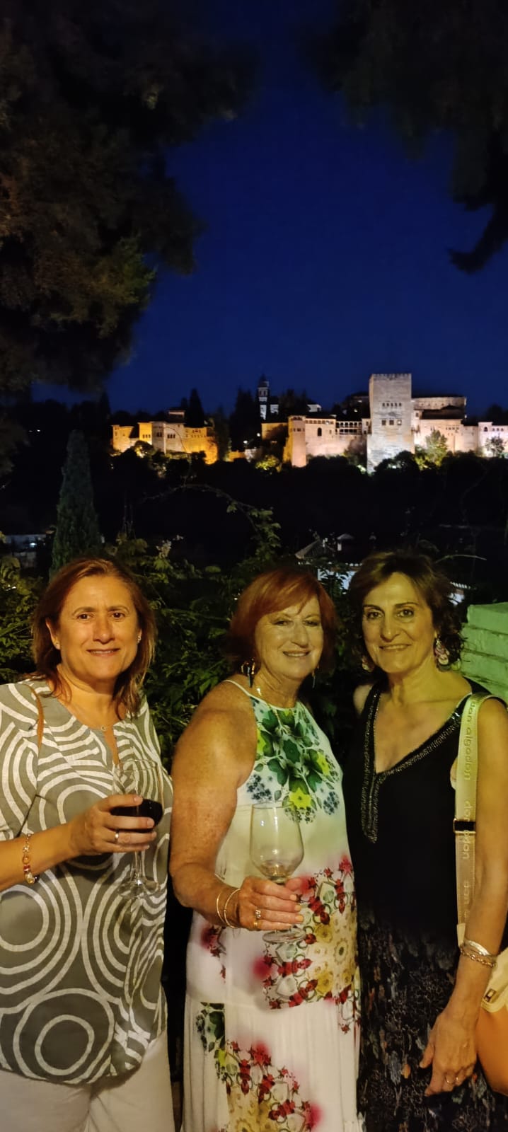 Cena con vistas a la Alhambra